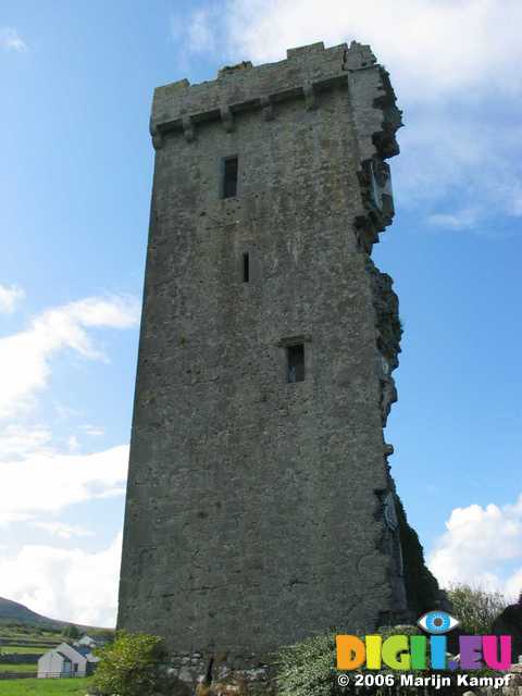 19240 Newtown Castle